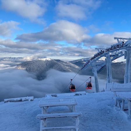 Ski View Studio - Near The Ski Slopes Азуга Екстериор снимка