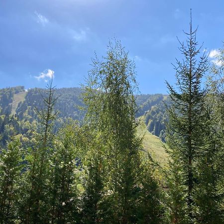 Ski View Studio - Near The Ski Slopes Азуга Екстериор снимка