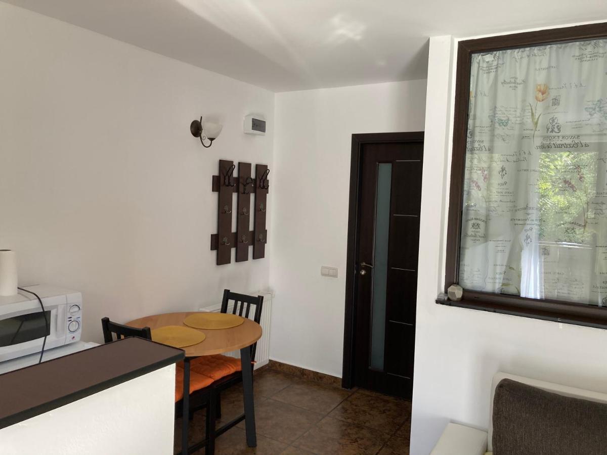 Ski View Studio - Near The Ski Slopes Азуга Екстериор снимка