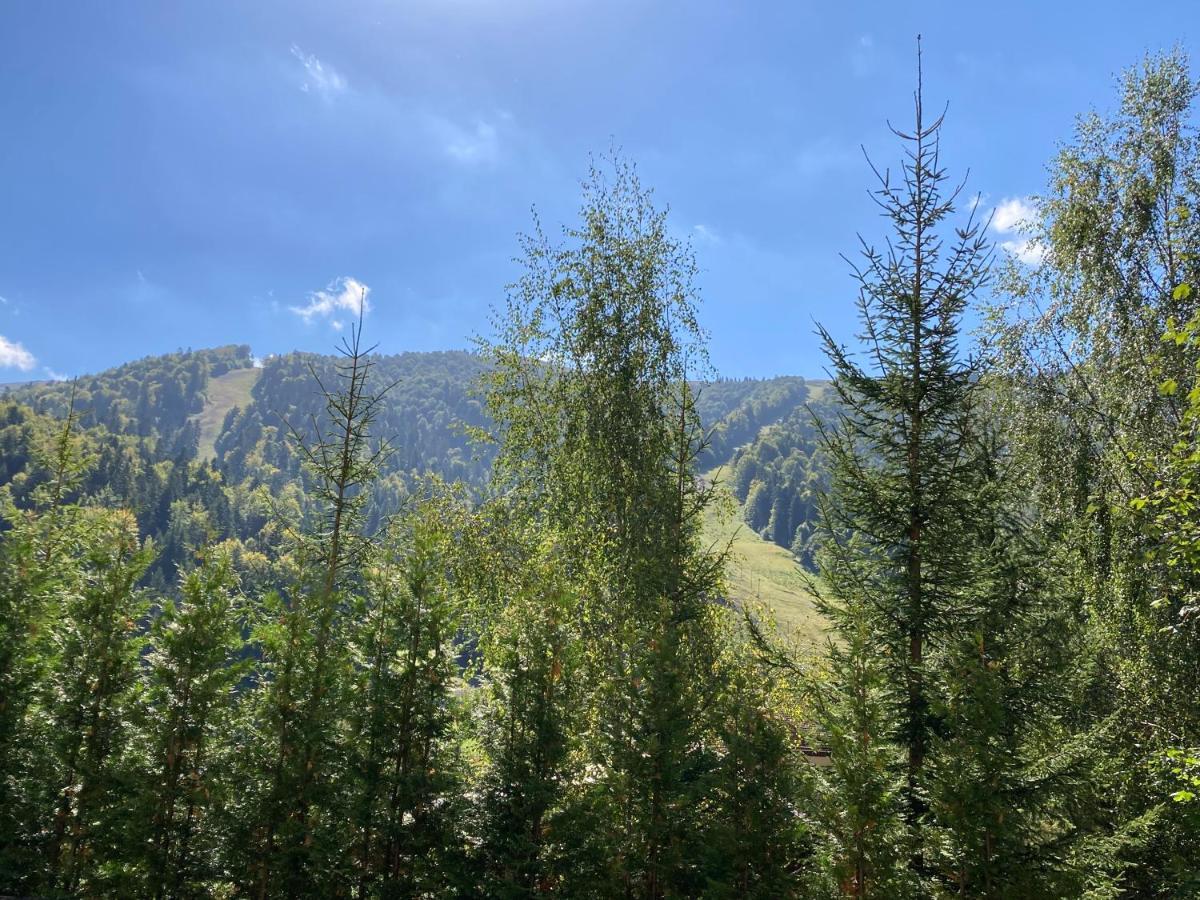 Ski View Studio - Near The Ski Slopes Азуга Екстериор снимка