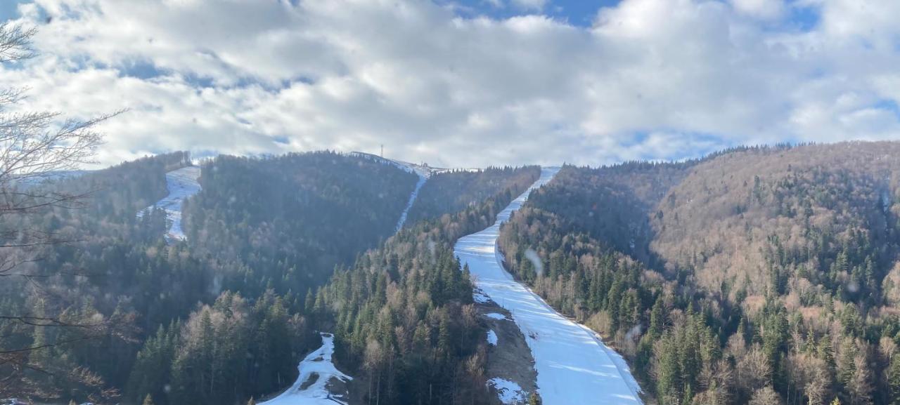 Ski View Studio - Near The Ski Slopes Азуга Екстериор снимка
