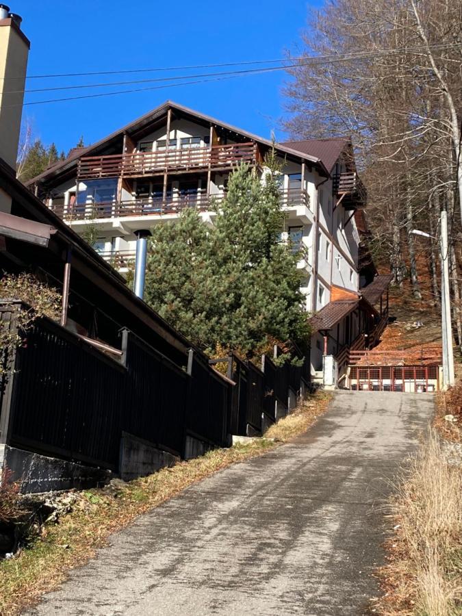 Ski View Studio - Near The Ski Slopes Азуга Екстериор снимка