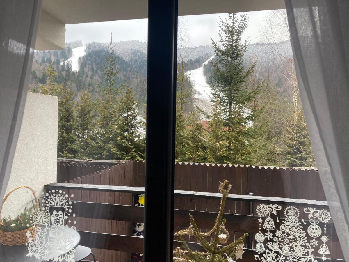 Ski View Studio - Near The Ski Slopes Азуга Екстериор снимка
