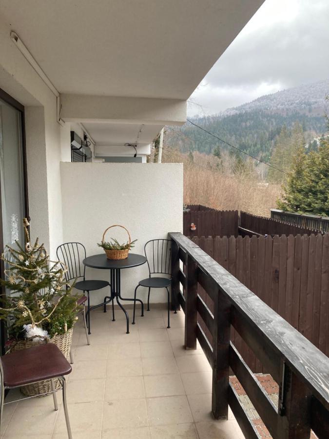 Ski View Studio - Near The Ski Slopes Азуга Екстериор снимка